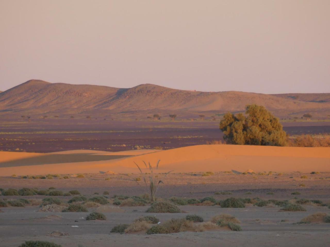 Camel Bivouac Merzouga Exterior foto